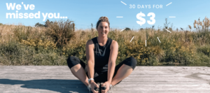 30DAYS FOR $3