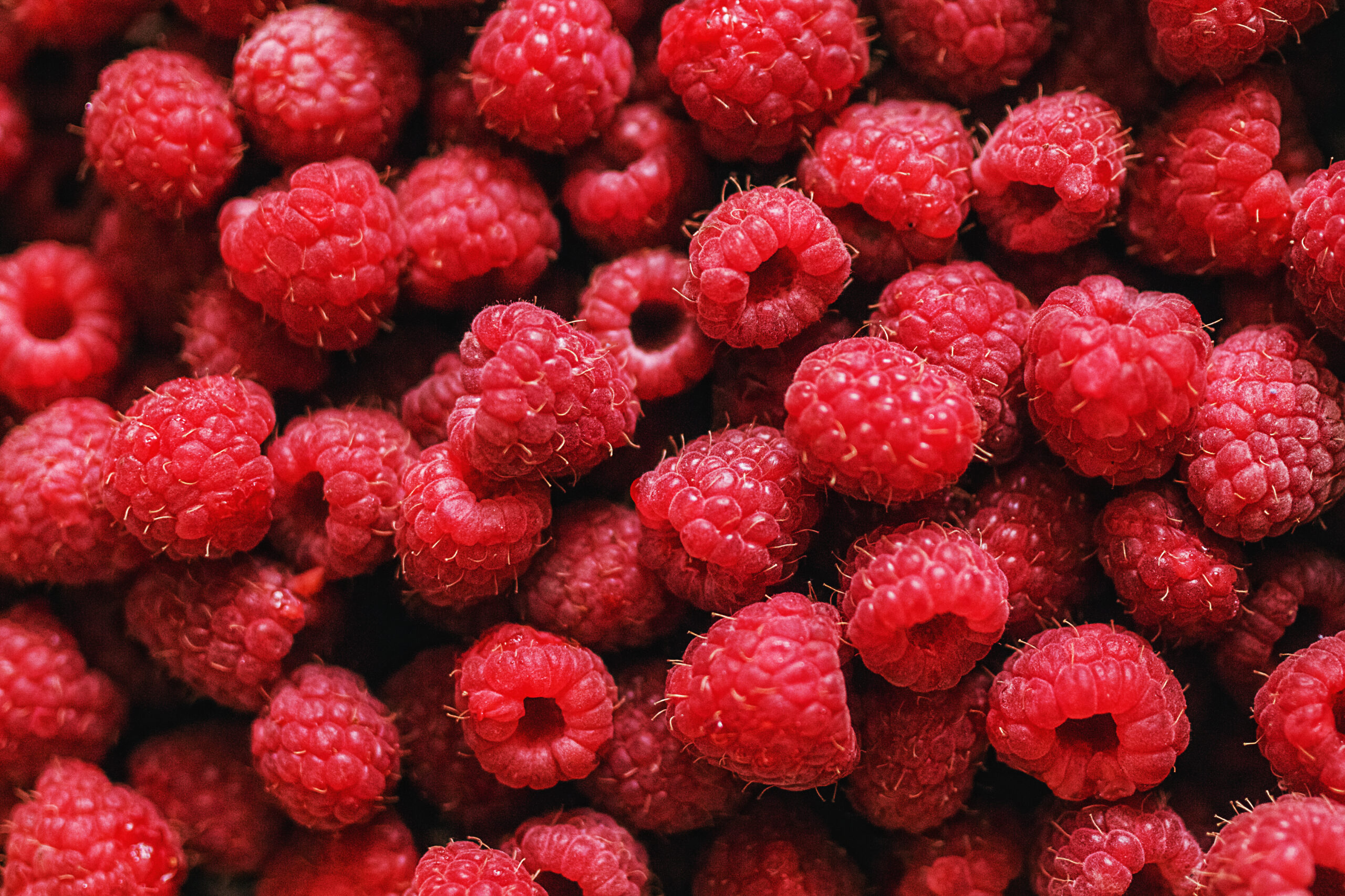 Ripe,Raspberries.berries.a,Handful,Of,Raspberries.scarlet.raspberry,Field.raspberry,Juic