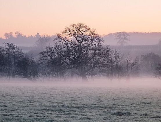 frosty morning over paddock