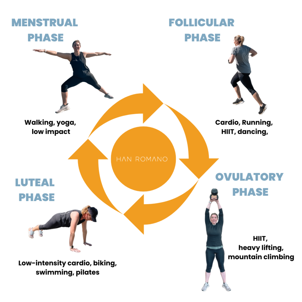 4 cycles of menstrual phases